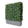 BUM - 6' Hedge Planter Set - P-BUM-HEDGE 6