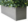 BUM - 4' Hedge Planter Set - P-BUM-HEDGE 4
