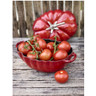 Staub - 2.8L (3 QT) Tomato Cast Iron Cherry Cocotte - 1033380