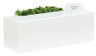 Cal Mil - 20" x 7" Juno Rectangle Riser - 23413715