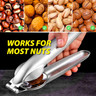 Harold Import Company - Stainless Steel Chestnut Cutter