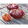 Staub - Ceramic Petite Tomato Cocotte