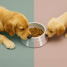 Staub - Light Pink 400ml Pet Bowl