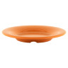 G.E.T - Diamond Harvest 9" Pumpkin Wide Rim Plate (24 Per Case) - WP-9-PK