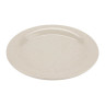 G.E.T - Santa Fe 10" Ironstone Round Plate (12 Per Case) - BF-010-IR
