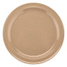 G.E.T - SuperMel 9" Sandstone Round Plate (24 Per Case) - DP-509-S