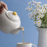 Price & Kensington - Daisy 6 Cup Teapot