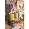 Sttaub - 15.8 oz Citron Ceramic Mug - 1029087
