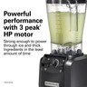 Hamilton Beach Commercial - The Fury Blender - HBH550R