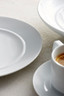 Royal Porcelain - 10.25" Opera Plate (12 Per Case) - 61102ST0354