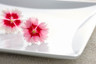 Royal Porcelain - 10.8" x 10.8" Vortex White Square Plate (12 Per Case) - 61105ST0506