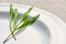 Royal Porcelain - 7" Contessa White Plate (36 Per Case) - 61106ST0576