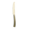 Varick - Malcolm 9" Brushed Champagne Gold Dinner Knife (12 Per Case) - 5733SX042