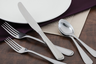 Walco - Balance 9.75" European Dinner Knife (12 Per Case) - WL79451