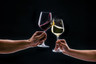 Rona - Artist 23.5 oz Bordeaux Glass (24 Per Case) - 4800R200