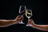 Rona - Artist 17.25 oz Wine Glass (24 Per Case) - 4800R201