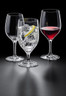 Rona - Optima 8 oz Small White Wine Glass (24 Per Case) - 4808R242