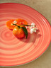 Creations - Revel 9" Coral Melamine Plate (12 Per Case) - 7125TM074