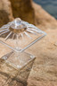 Delfin - Amphora Clear Square Jar Lid (6 Per Case) - DFLID1G00