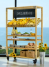 Mogogo - Canvas 48.5" x 18" x 73" Bamboo / Brushed Stainless Steel Grab & Go Unit W/ Sign & Casters - MGCCAN03NSXW