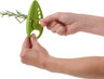 Trudeau - Herb Tool/Stripper