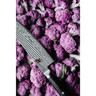 Miyabi - 9.5" 5000FCD Kaizen Gyutoh Chef's Knife - B-STOCK