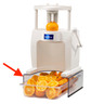 Sunkist - Production Stand for Commercial Series Sectionizer - S-31K