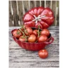 Staub - 2.8L (3 QT) Tomato Cast Iron Cherry Cocotte