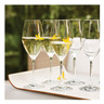 Zwilling - Predicat Champagne glass set 6 Piece