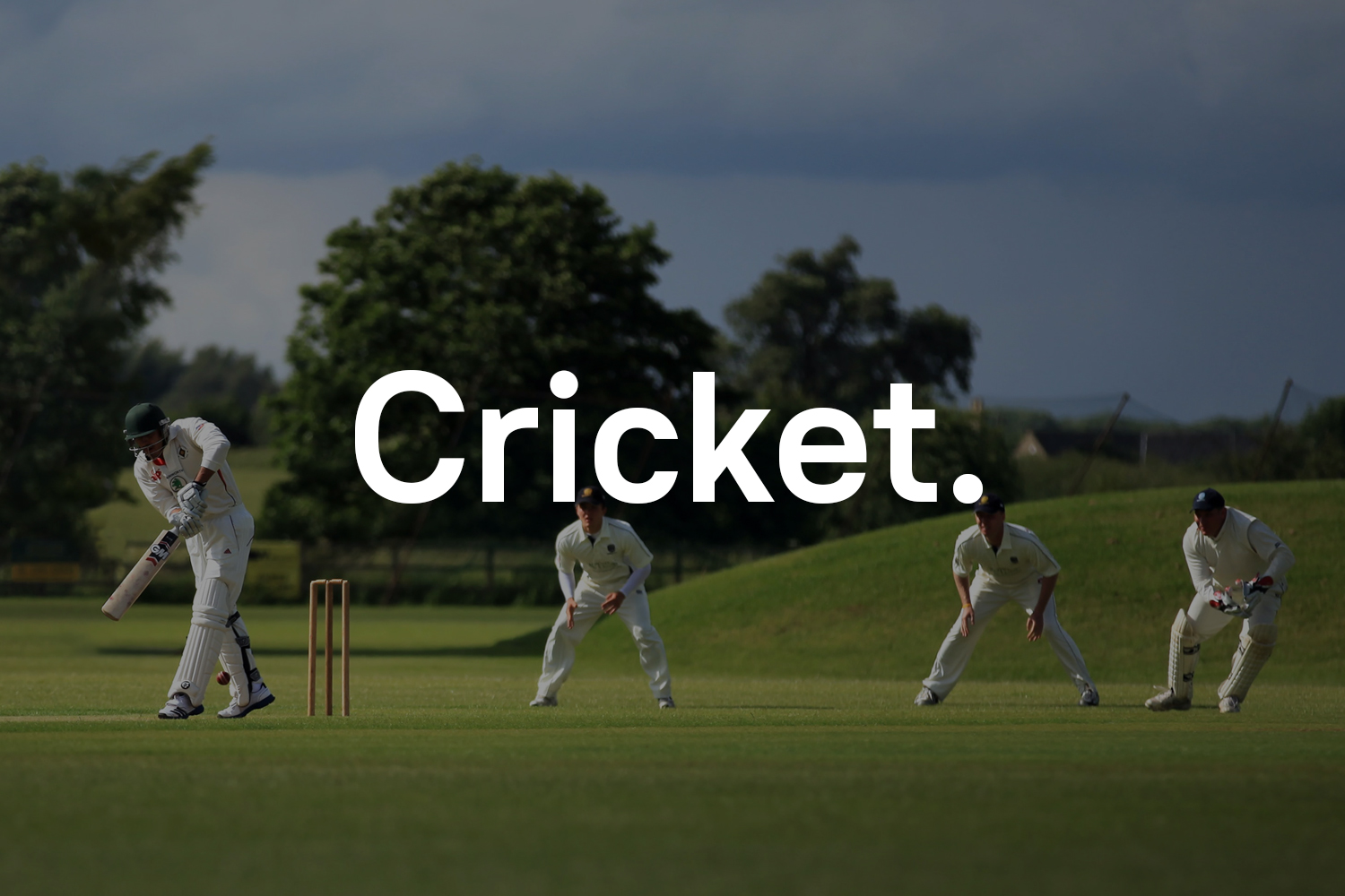 Group of young adults playing cricket on a lush green cricket pitch.