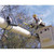 Product thumbnail view 1