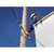 Product thumbnail view 3