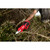 Product thumbnail view 5