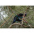 Product thumbnail view 3