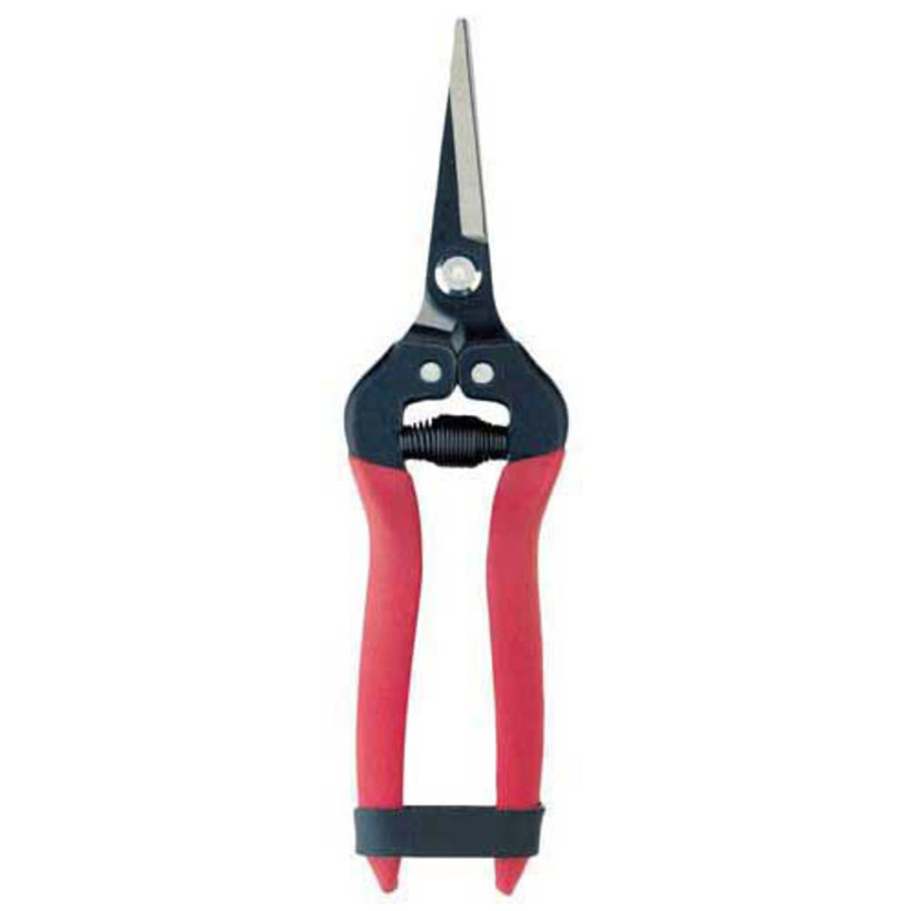 AG4930 Corona Snips