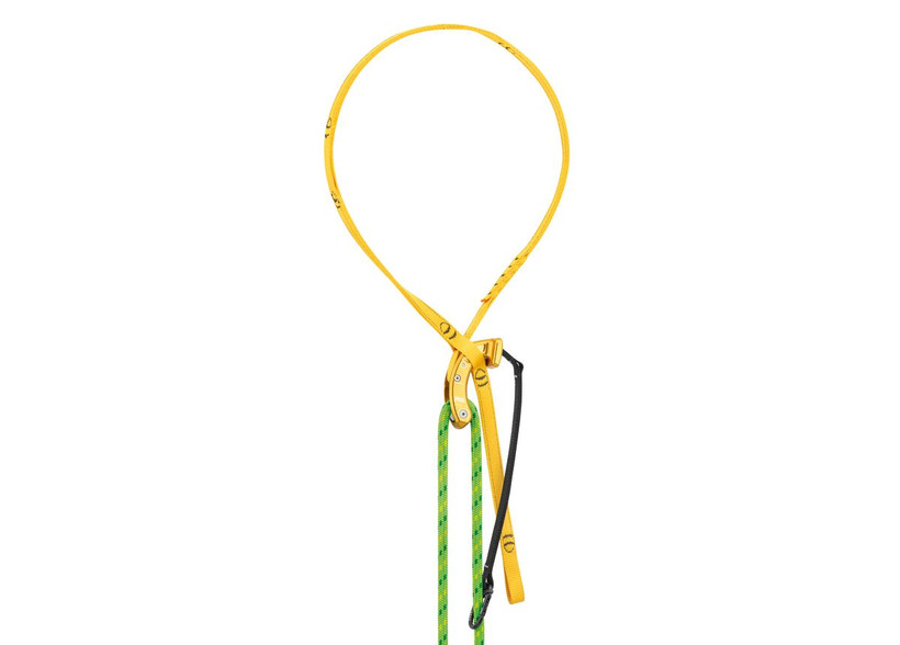 Active slide of Petzl Naja Cambium Saver