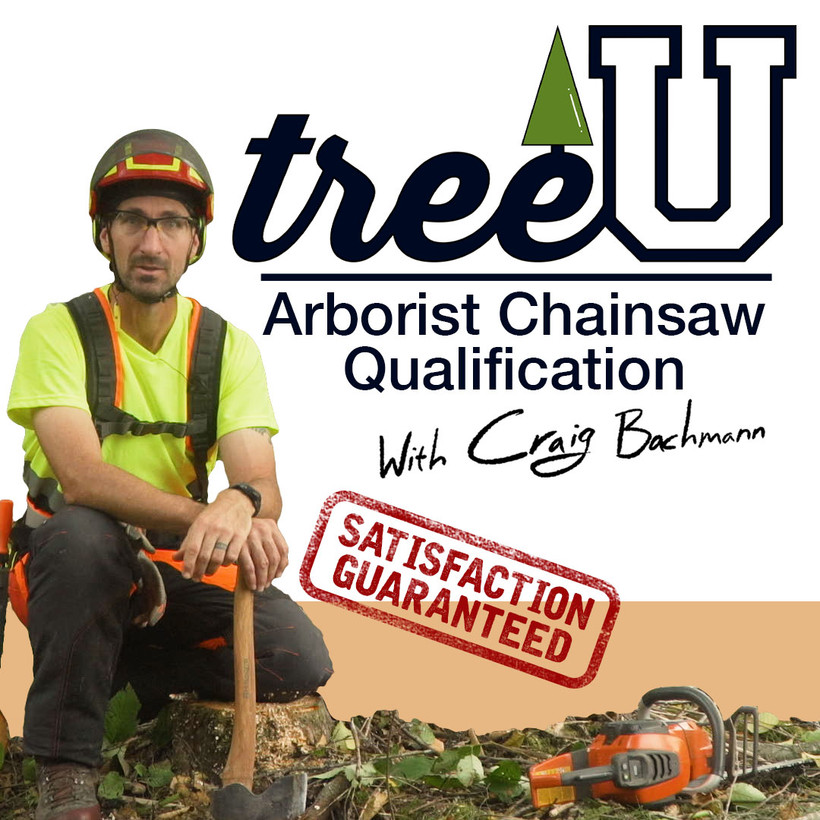 Active slide of TreeU Arborist Chainsaw Qualification