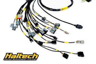 Rywire K-Series Haltech Engine Harness | S2000