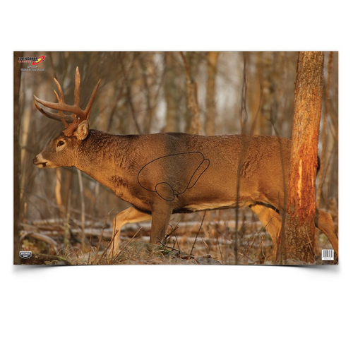 Eze-scorer 23 X 35 Whitetail Deer Target, 2 Targets