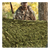 HUNTING SERIES CAMO NETTING 8'x10' (WOODLAND)
Quiet leaf-cut three dimensional design
Lightweight fast drying material
Two metal rings in all four corners
Military style mesh backing
Drawstring stuff sack included