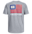 UA Freedom Banner T-Shirt