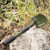 FOLDING SHOVEL - SMALL