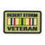 Desert Storm Veteran Patch