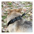 US TACTICAL QRB DOG COLLAR