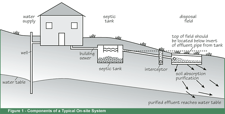 septic system