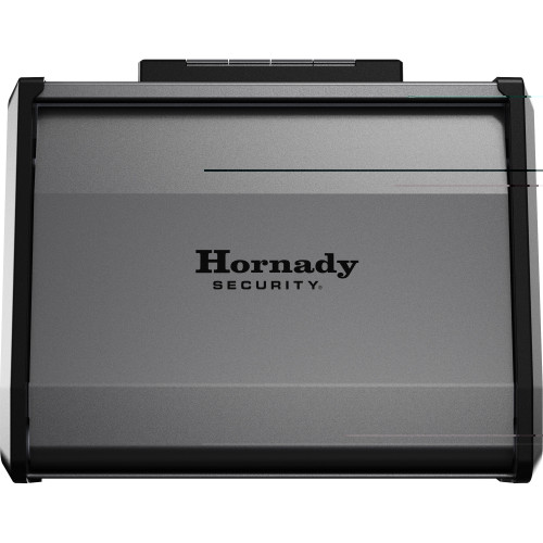 Hrndy Security Digi-vault Two-gun