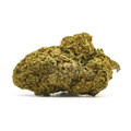 PAPAYA STRAIN