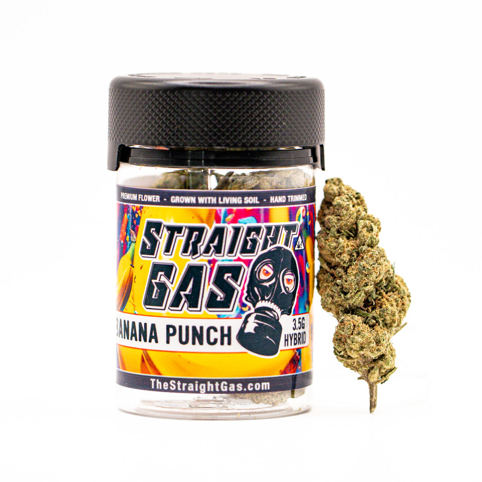 BANANA PUNCH FLOWER (H)