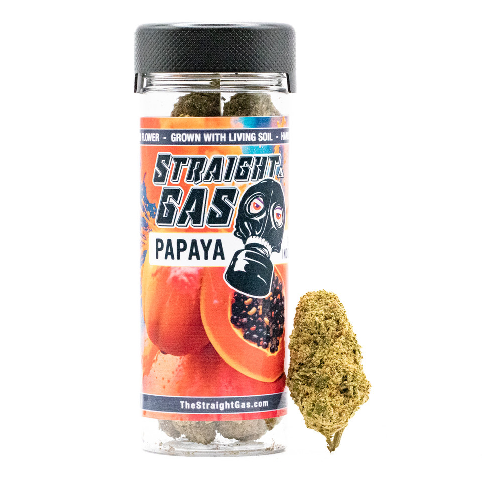 PAPAYA STRAIN