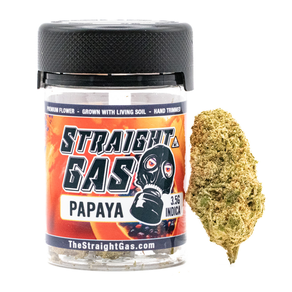 PAPAYA STRAIN